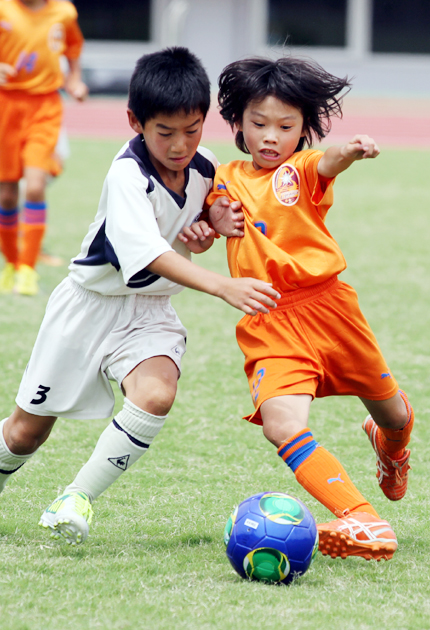 サッカーｊａチビリンピック県大会 東日新聞