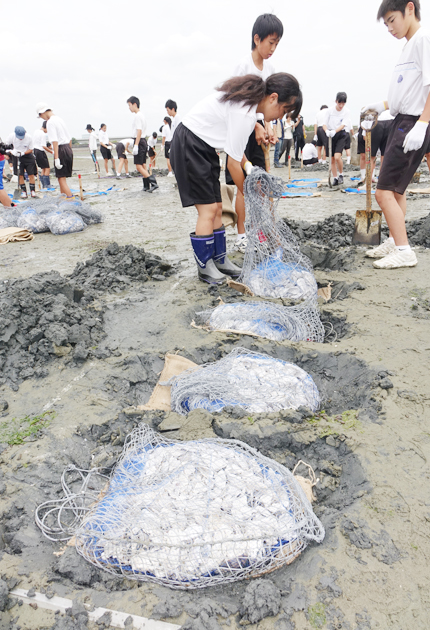汐川干潟の環境再生