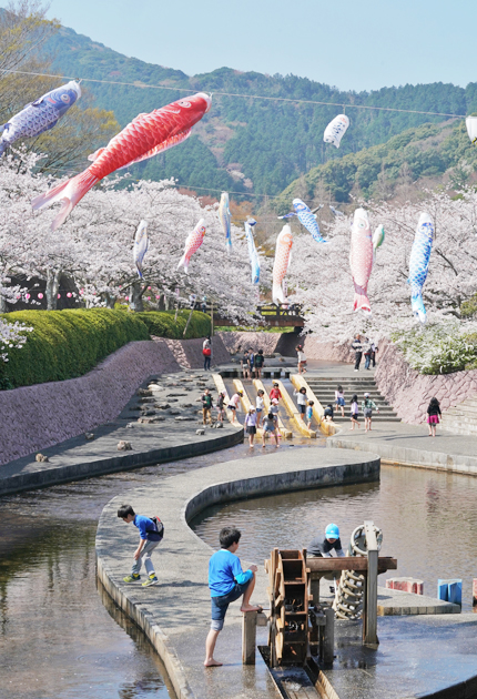 桜満開の滝頭公園で水遊び