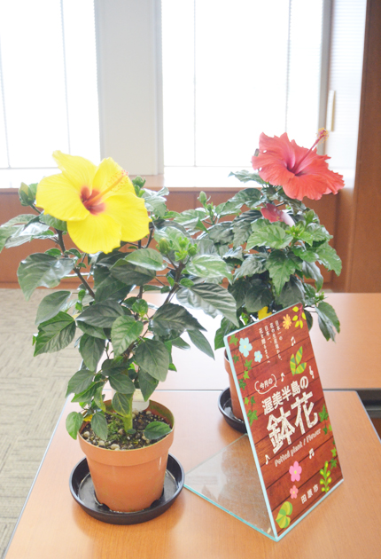 イオンで渥美半島の夏ｐｒ 東日新聞