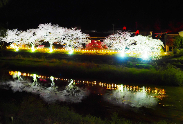 あす夜桜ライトアップ終了 | 東日新聞 あす夜桜ライトアップ終了 | 東日新聞